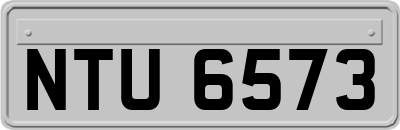 NTU6573