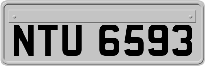 NTU6593