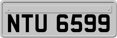 NTU6599