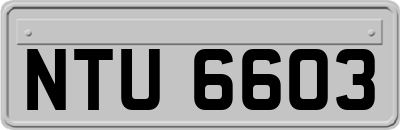 NTU6603
