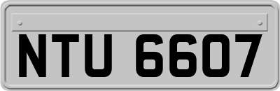 NTU6607
