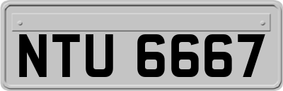 NTU6667