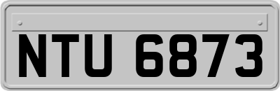 NTU6873