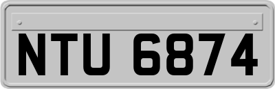 NTU6874