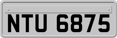 NTU6875