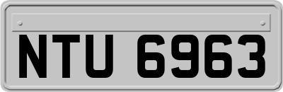 NTU6963