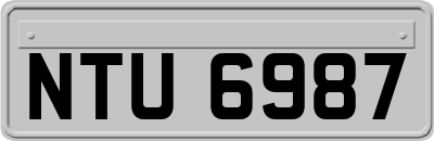 NTU6987