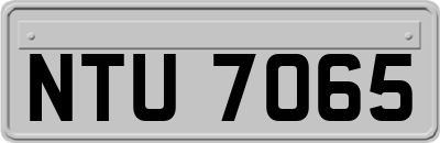 NTU7065