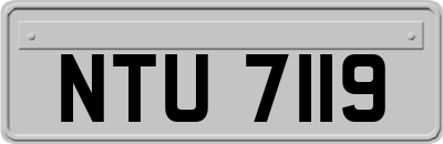 NTU7119