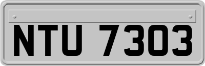 NTU7303