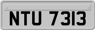NTU7313
