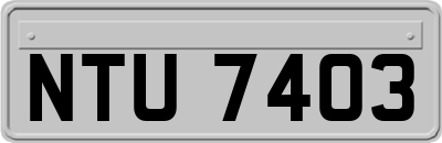 NTU7403
