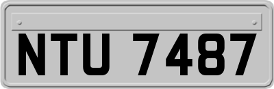 NTU7487