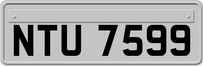 NTU7599