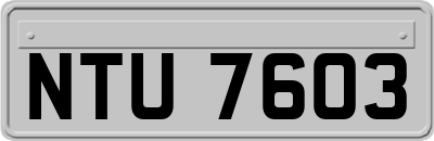 NTU7603