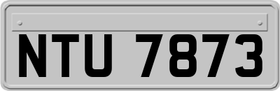 NTU7873