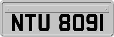 NTU8091