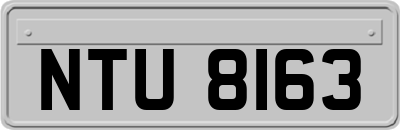 NTU8163