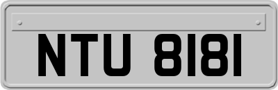 NTU8181