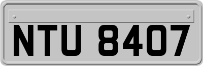 NTU8407