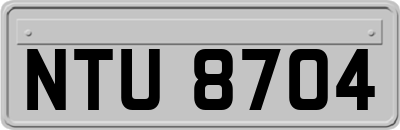 NTU8704