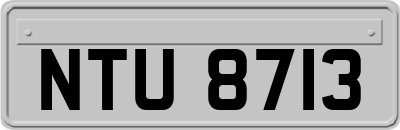 NTU8713