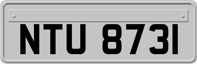 NTU8731