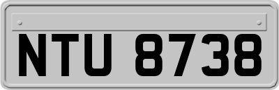 NTU8738