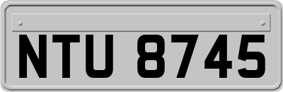 NTU8745