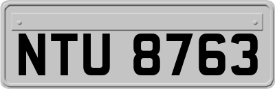 NTU8763