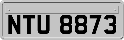 NTU8873