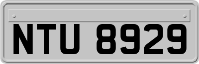 NTU8929