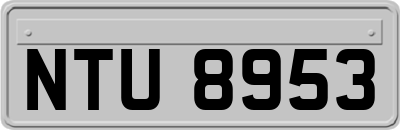 NTU8953
