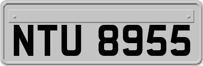 NTU8955