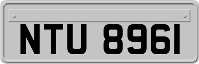 NTU8961