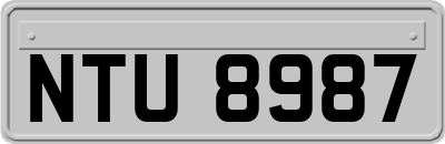 NTU8987