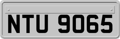 NTU9065