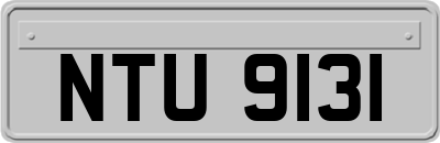 NTU9131