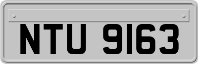 NTU9163