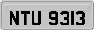 NTU9313
