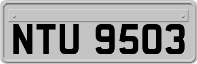 NTU9503