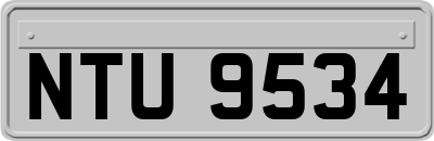 NTU9534