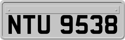 NTU9538
