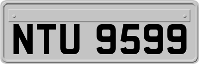 NTU9599