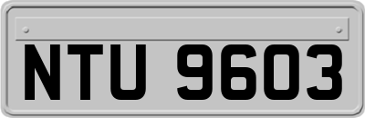 NTU9603