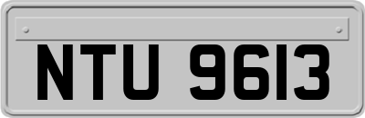 NTU9613