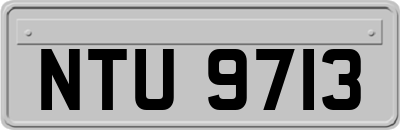 NTU9713