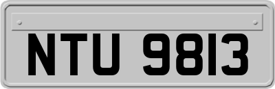 NTU9813