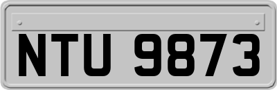 NTU9873