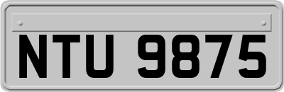 NTU9875